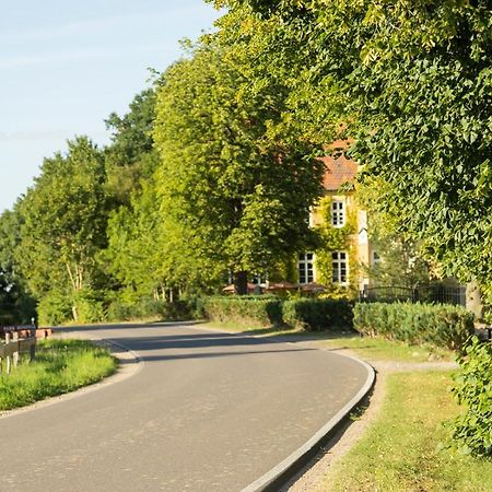 Naturnahes, Neu Moebl.Apartment, Hundefreundlich Neu Gaarz Exteriör bild
