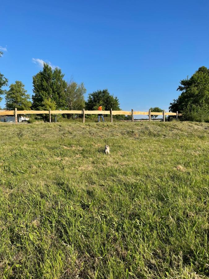 Naturnahes, Neu Moebl.Apartment, Hundefreundlich Neu Gaarz Exteriör bild